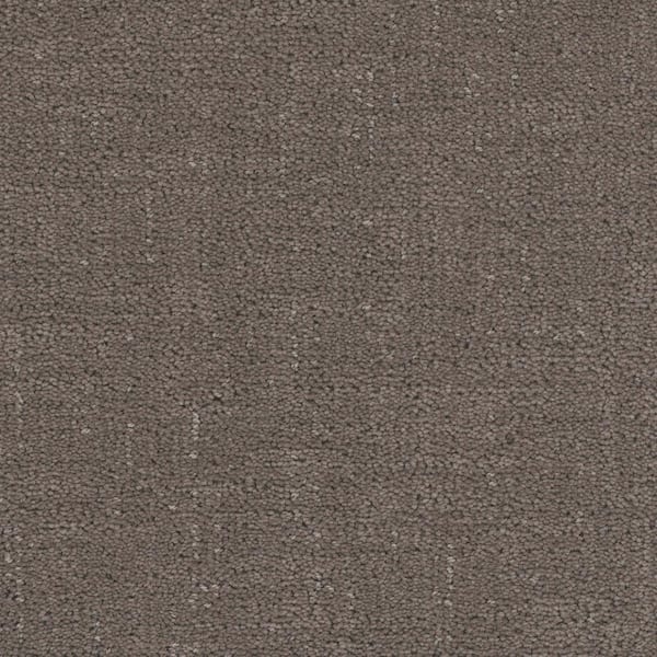 Home Decorators Collection 8 in. x 8 in. Pattern Carpet Sample - Wheatfield - Color Mink