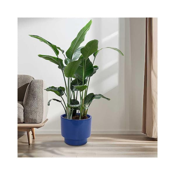Set of 3 13 in. Antique Blue Ceramic Flowerpot-Round Modern Planter with Drainage Hole, Frost & Weather Resistant