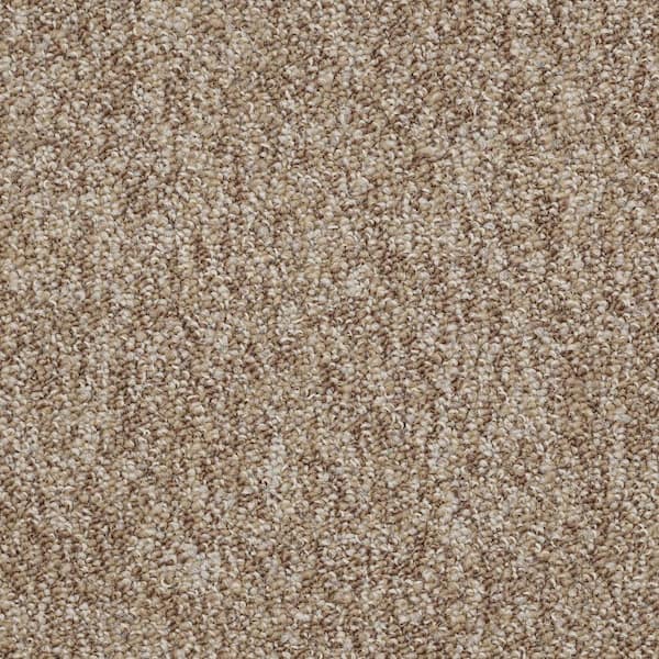 Oila-Promise-Brown Commercial/Residential 24 in. x 24 in. Glue-Down Carpet Tile Square (48 sq. ft.)