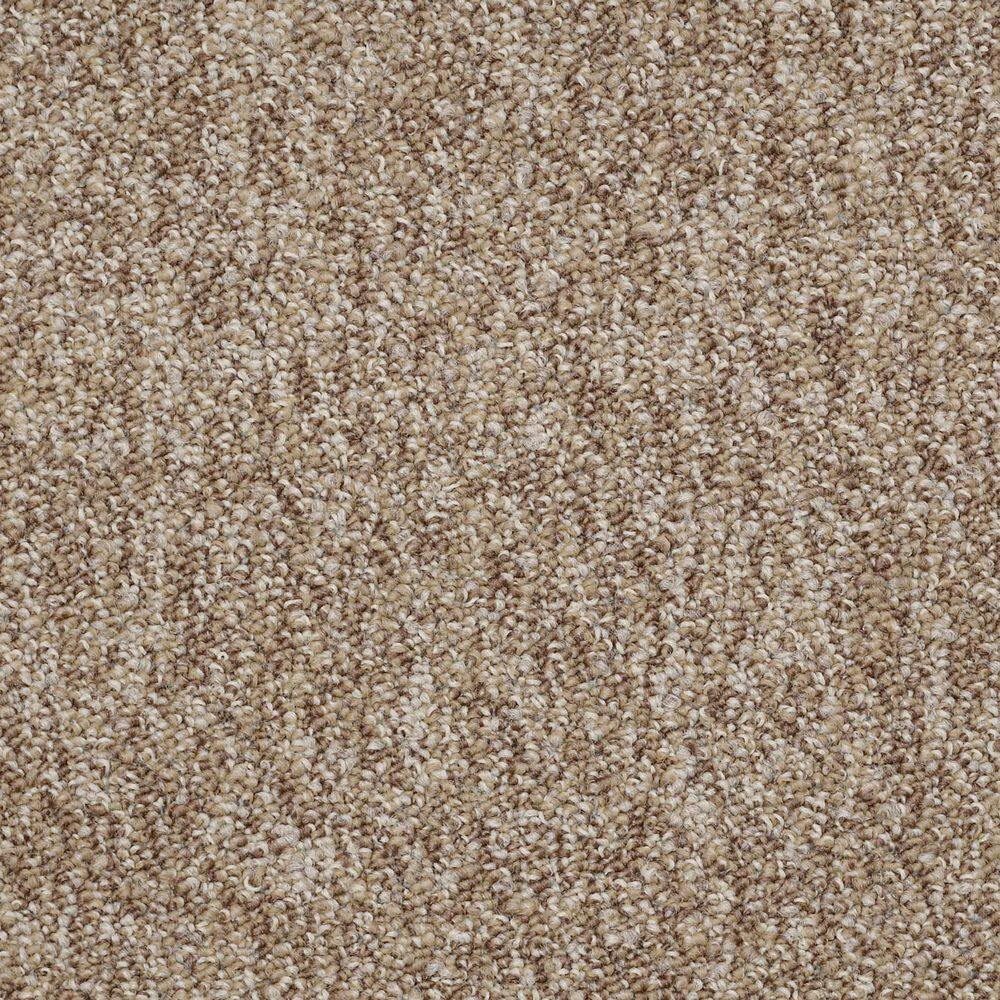 Oila-Promise-Brown Commercial/Residential 24 in. x 24 in. Glue-Down Carpet Tile Square (48 sq. ft.) price history on PriceWatchPro