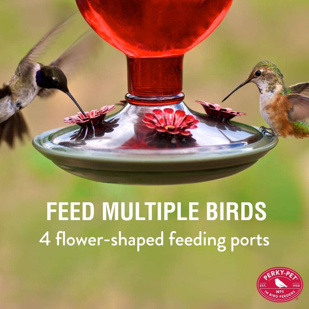 Red Antique Hanging Glass Hummingbird Feeder with Metal Accents