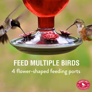 Red Antique Decorative Glass Hummingbird Feeder - 16 oz. Capacity