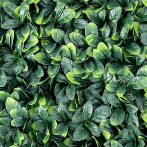 20 in. x 20 in. 12-Piece Artificial Ficus Hedge Plant Privacy Fence Hedge Panels