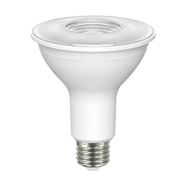 par 30l bulb