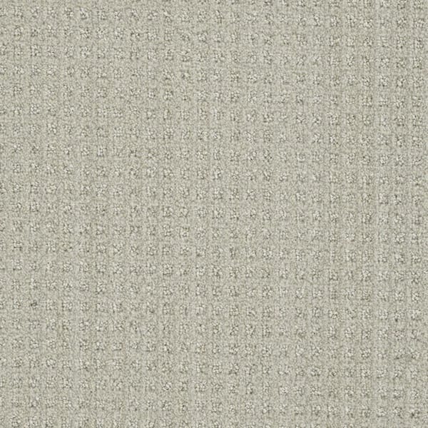Dovetail - Millwood - Beige 45 oz. SD Polyester Pattern Installed Carpet
