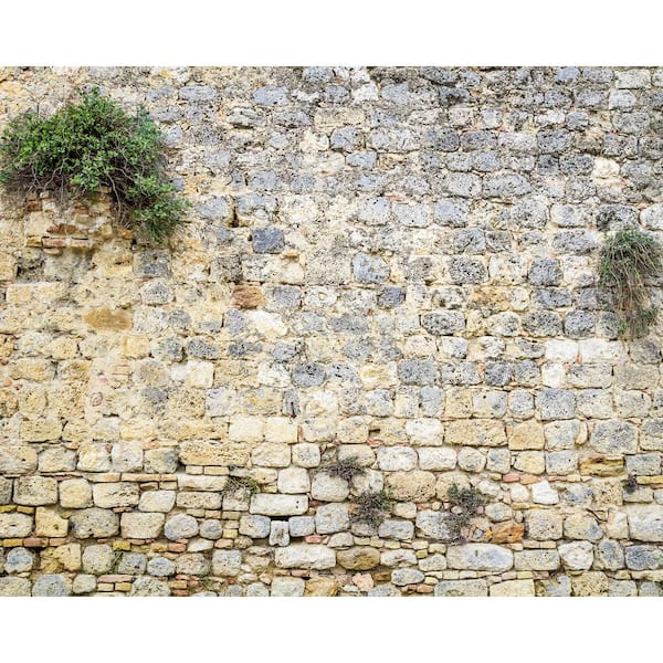 Brewster Stone Wall Mural