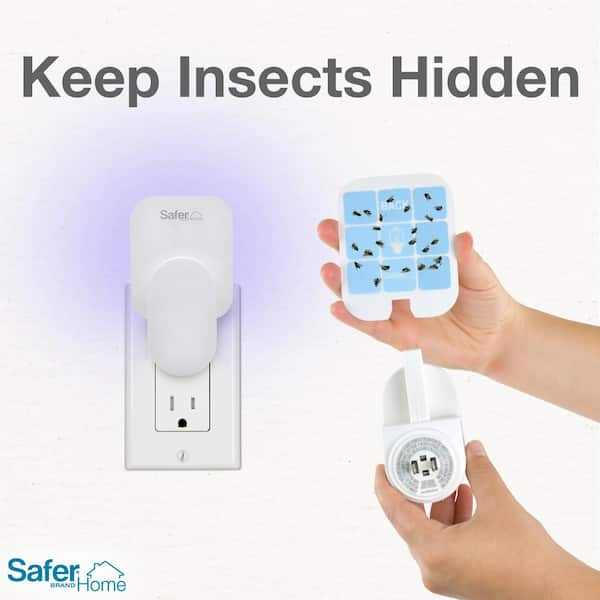 Safer Home Indoor Flying Insect Trap for Fruit Flies, Gnats, Moths, House  Flies (1 Plug-In Base and 2 Refill Glue Cards)