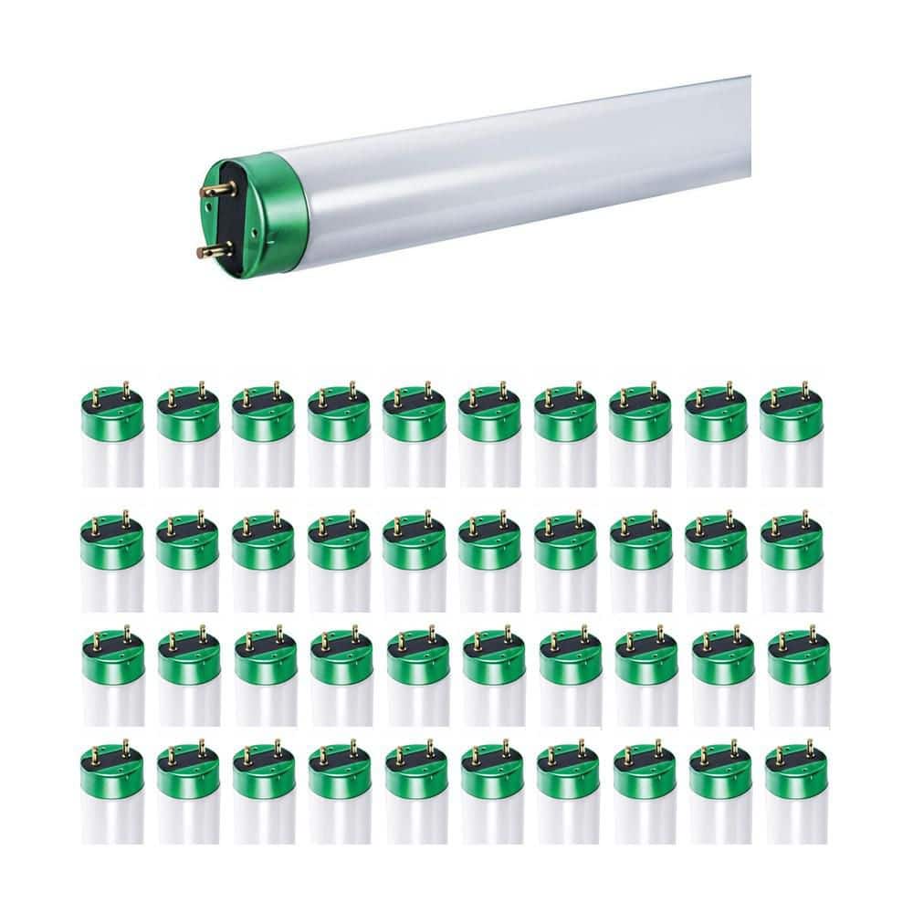 F8T5/CW : 8W T5 Linear Fluorescent Lamp, 12", 4100K | AMRE Supply