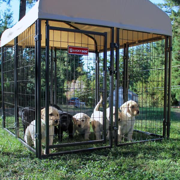 Lucky Dog Stay Series Khaki Studio Jr. Kennel (4 ft. x 4 ft