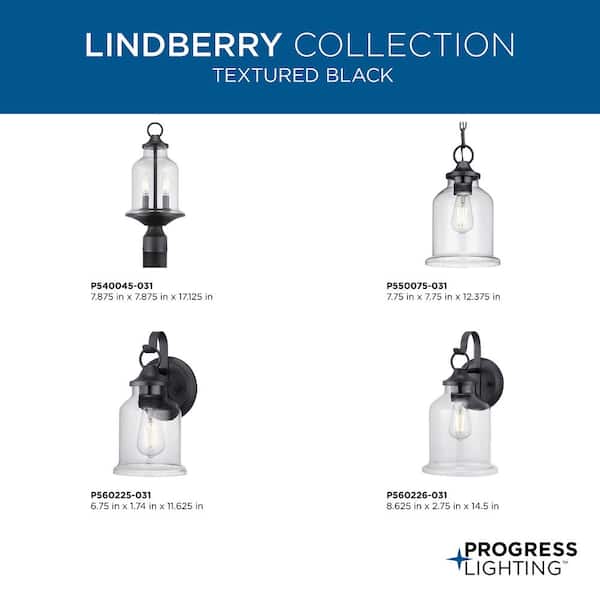 Progress Lighting Lindberry 1-Light 11.5 in. Textured Black