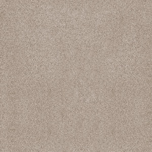 Sand Dunes I - Aurora Beige 53 oz. Nylon Texture Installed Carpet