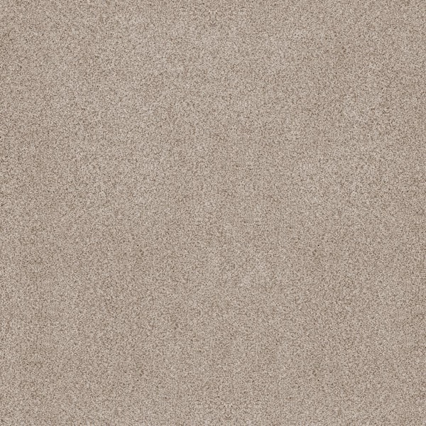 Sand Dunes II Aurora Beige 62 oz. Nylon Texture Installed Carpet