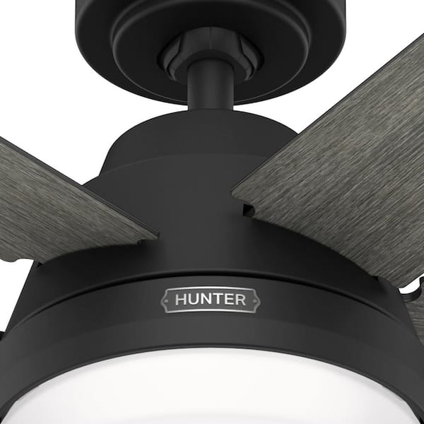 Hunter Locke 52 in. Indoor Matte Black Ceiling Fan with Light Kit