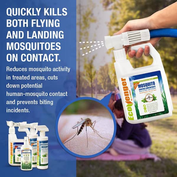 Microwaving an insecticide restores its mosquito-killing power
