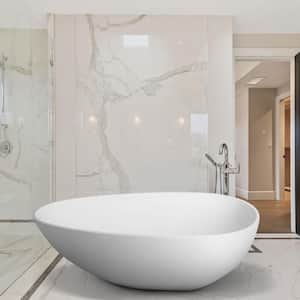 67 in. Stone Resin Solid Surface Flatbottom Non-Whirlpool Soaking Bathtub in White with Brass Drain