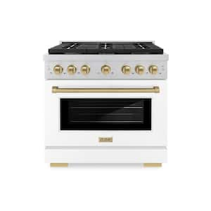 Paramount 36 in. 6-Burner Dual Fuel Range with Convection Oven in Stainless Steel, Matte White, and Champagne Bronze