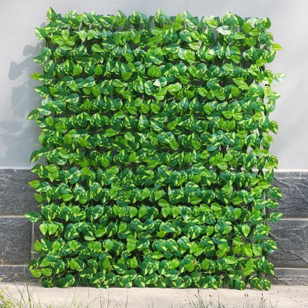 130 x 11.8 in. Expandable Plastic Garden Fence Artificial Leaves Privacy Screen Panel for Patio Outdoor Evergreen