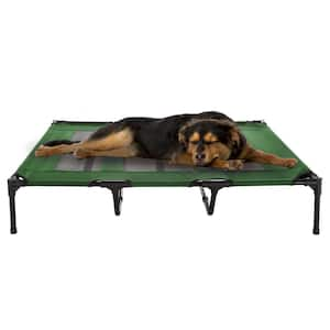 Extra Large Green Elevated Pet Bed