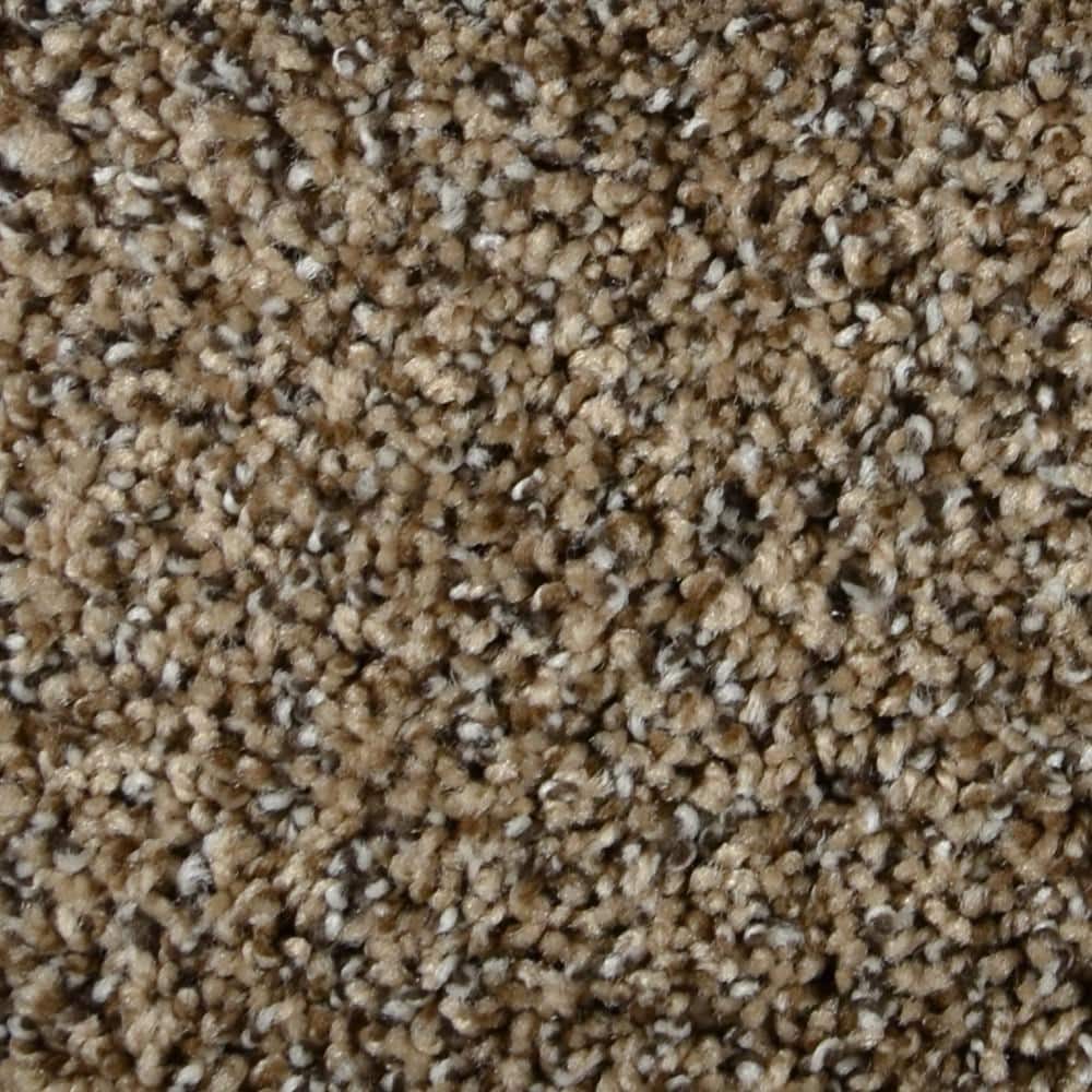 8 in. x  8 in. Texture Carpet Sample - Captain -Color Marlin price history on PriceWatchPro