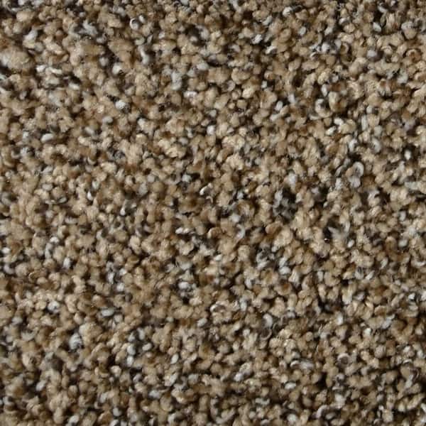 Captain  - Marlin - Brown 35 oz. SD Polyester Texture Installed Carpet