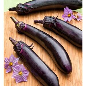 19 oz. Ichiban Eggplant Plant