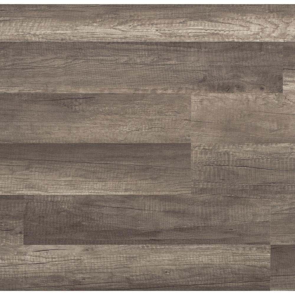 TrafficMaster Take Home Sample - Grey Oak Laminate Flooring - 5 in. x 7 in., Medium