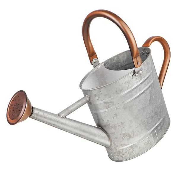 1 gal. Silver Metal Garden Watering Can with Removable Spout and Embossed Design for Indoor and Outdoor Plants