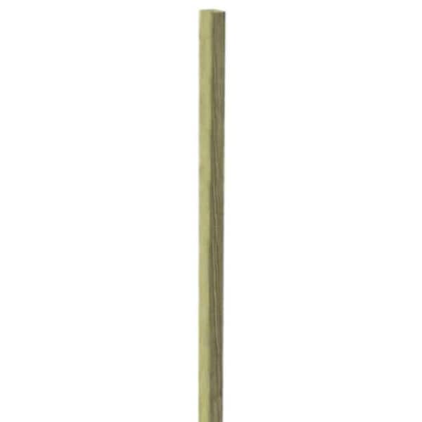 1 in. x 2 in. x 8 ft. Pressure-Treated Board