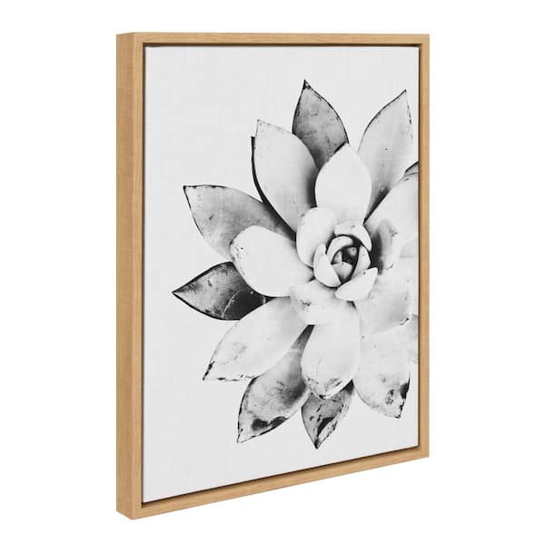Kate and Laurel Sylvie Succulent Framed Canvas by Tai Prints Set of 1-Nature Art Print 18.00 in. x 24.00 in.