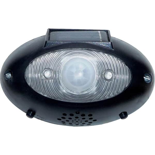 HomeBrite Solar Eyewatch Outdoor Wireless Black Solar LED Lighted Security Motion Alarm Detector