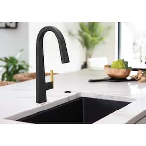 Nio Single-Handle Pull-Down Sprayer Kitchen Faucet with Reflex and Power Clean in Matte Black
