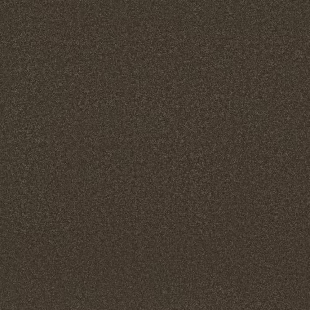 8 in. x 8 in. Texture Carpet Sample-Park Royal I-Color Apple Butter price history on PriceWatchPro