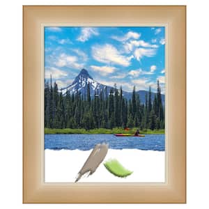 Eva Ombre Gold Narrow Picture Frame Opening Size 11 x 14 in.