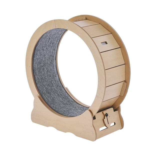 SVOPES Large Cat Exercise Wheel, 29.5 in. Treadmill for Indoor