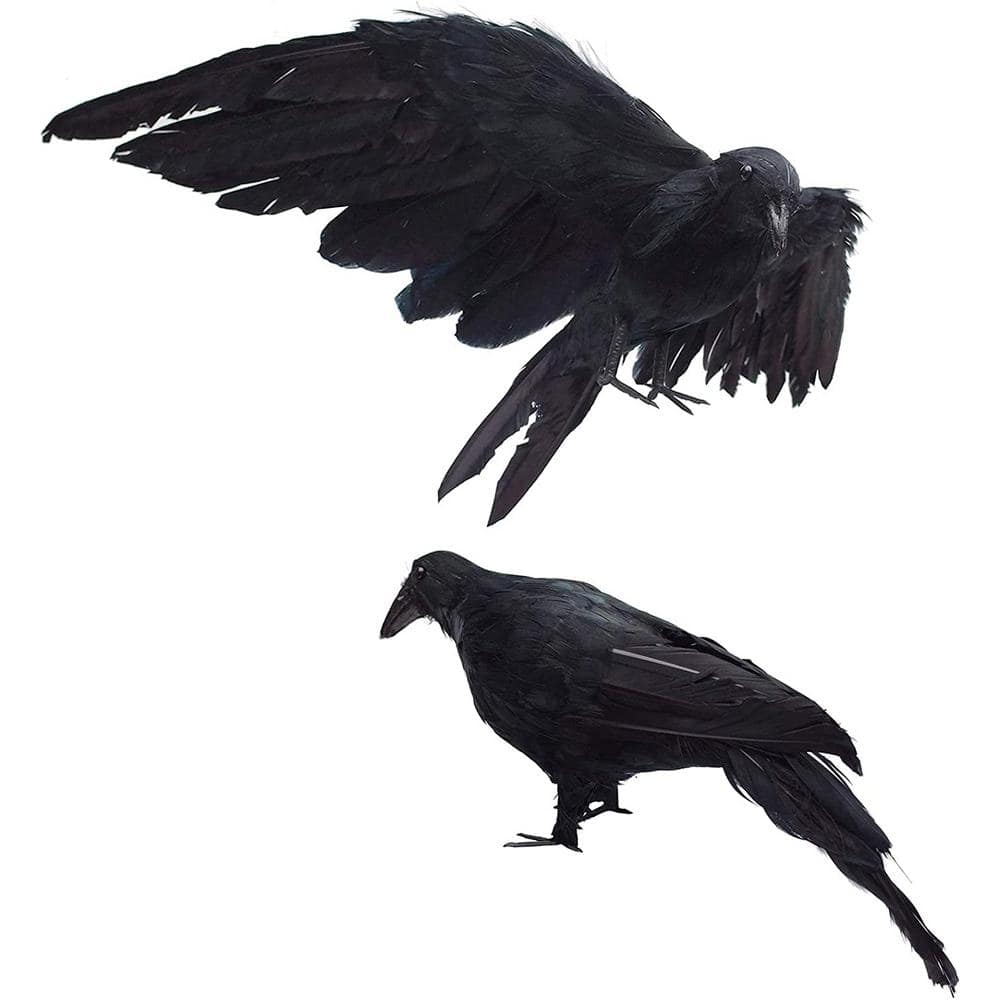 Realistic Crows Lifesize Extra Large Handmade Black Feathered Crow for Hall