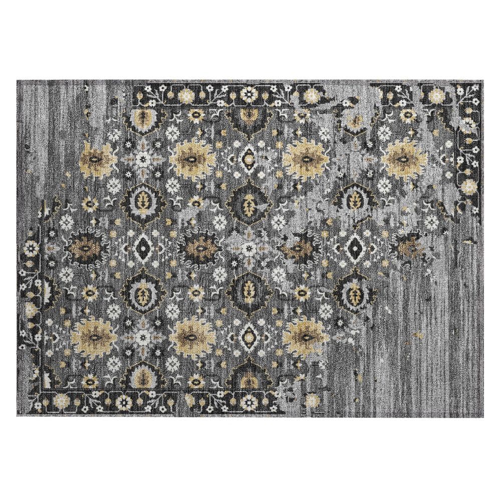 Chantille Machine Washable Indoor/Outdoor Abstract ACN2990 Graphite 3 ft. x 4 ft. Area Rug price history on PriceWatchPro