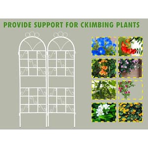 72 in. Metal Garden Trellis for Climbing Plants Outdoor Rustproof Plant Support-White (2-Piece)