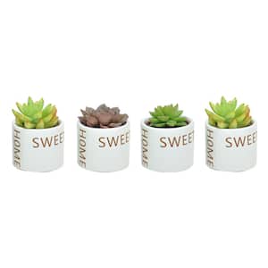 Indoor Succulent Assortment in 2 in. Home Sweet Home Ceramic Pot, Avg. Shipping Height 2 in. Tall (4-Pack)