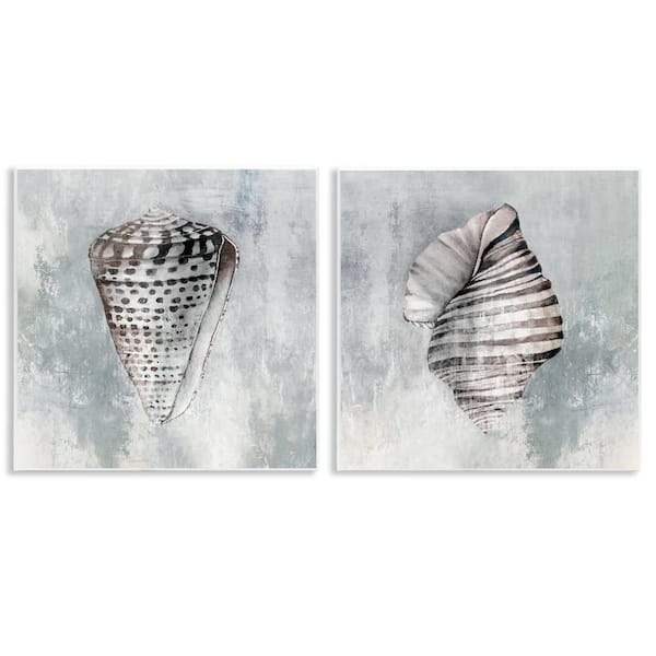 Stupell Industries Grey Distressed Cowrie Shells by Eli Jones 2-Pieces Unframed Coastal Graphic Art Print 12 in. x 12 in.