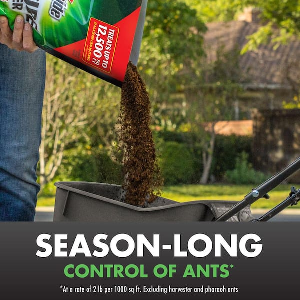  Pest Control Baits & Lures - DIY Pest Control / Pest Control  Baits & Lures / Pes: Patio, Lawn & Garden