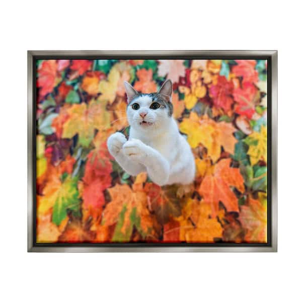 Stupell Industries Cat in Autumn Leaf Pile by Kazutoshi Ono 1-Piece Floater Frame Graphic Print Animal Poster Art Print 21 in. x 17 in.