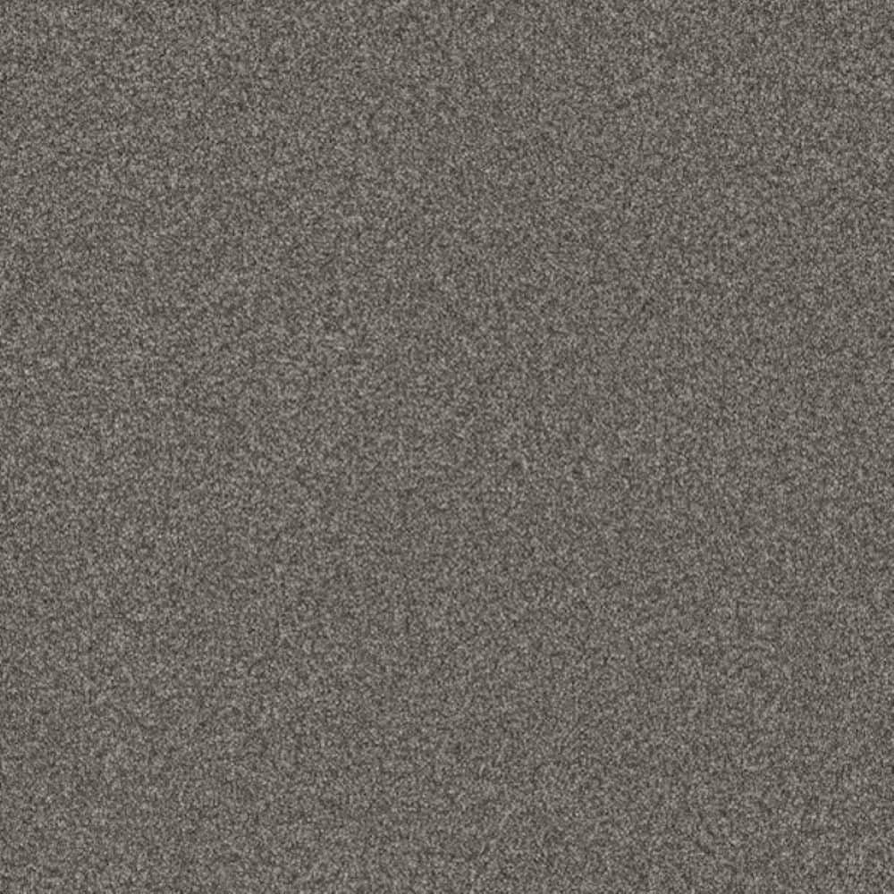 8 in. x 8 in. Texture Carpet Sample-Harpstring II-Color Echo price history on PriceWatchPro