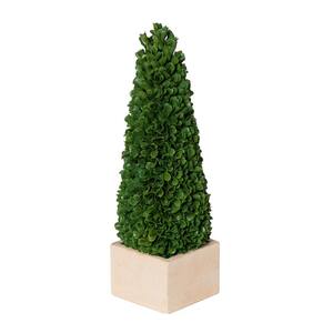 Green/Cream Artificial Small Faux Boxwood Potted Topiary Tree