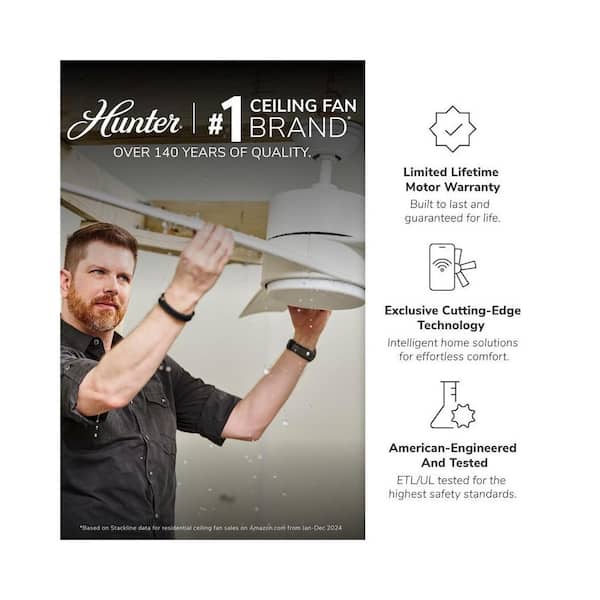 Hunter Dempsey 44 in. Fresh White Indoor Ceiling Fan with LED