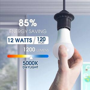 75-Watt Equivalence 12-Watt A19 E26 Base LED Light Bulb in 5000K Daylight White(8-Pack)