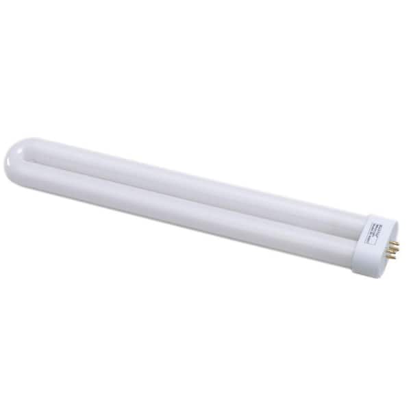 Black Flag 40-Watt White Bulb