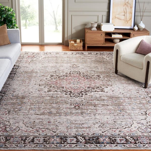 Antique Patina Beige/Brown 9 ft. x 12 ft. Distressed Border Ornate Area Rug
