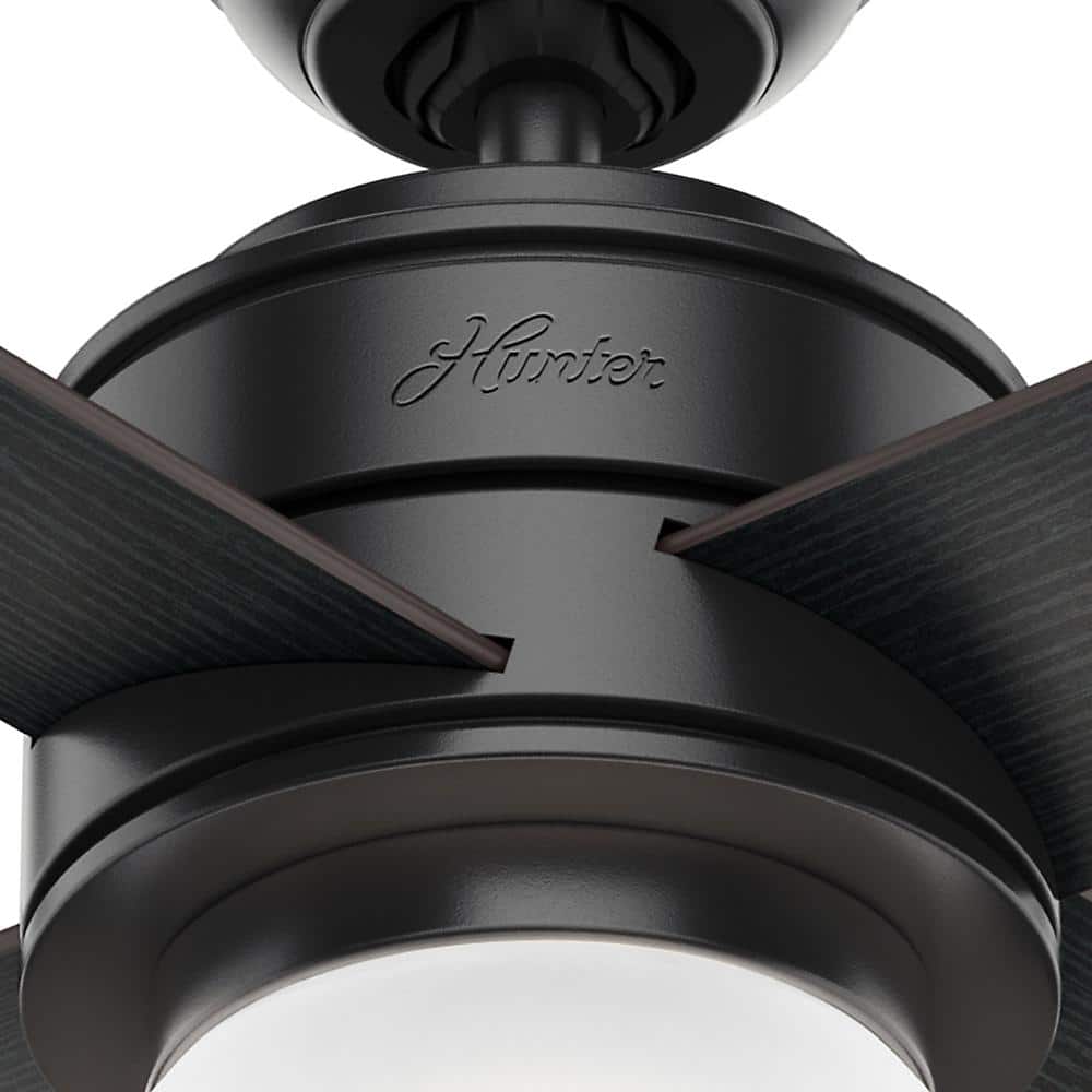 52" Matte Black Ceiling Fan with Globe Light and Wall Control