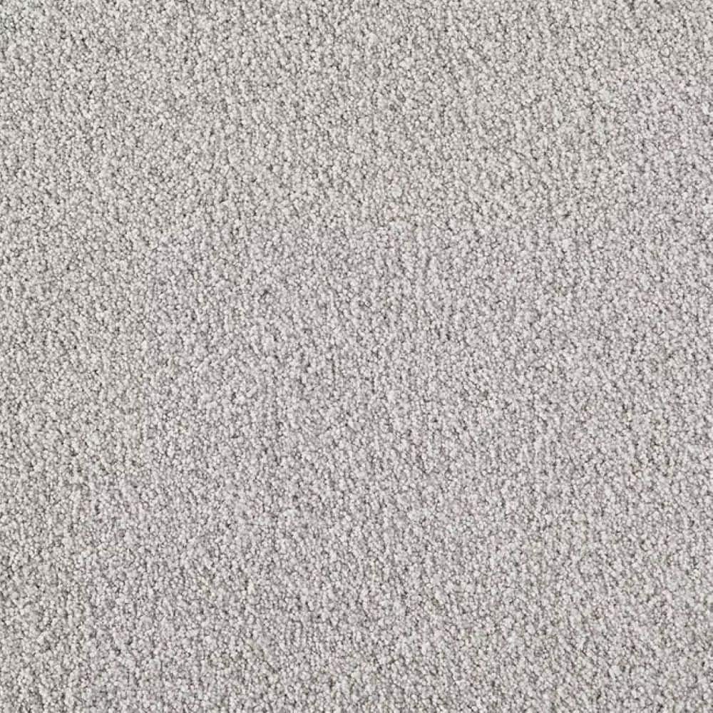 8 in. x 8 in. Texture Carpet Sample-Velvetine I-Color Pearl price history on PriceWatchPro
