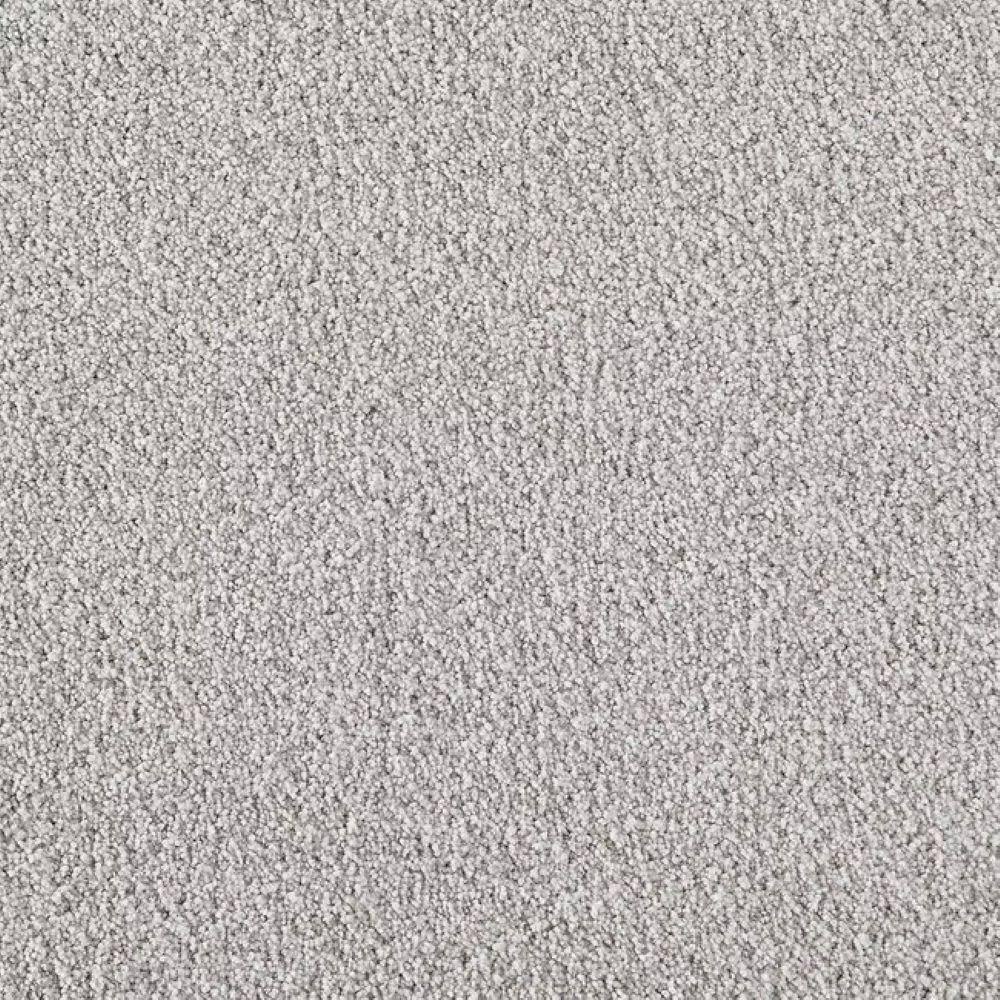 8 in. x 8 in. Texture Carpet Sample-Velvetine II-Color Pearl price history on PriceWatchPro